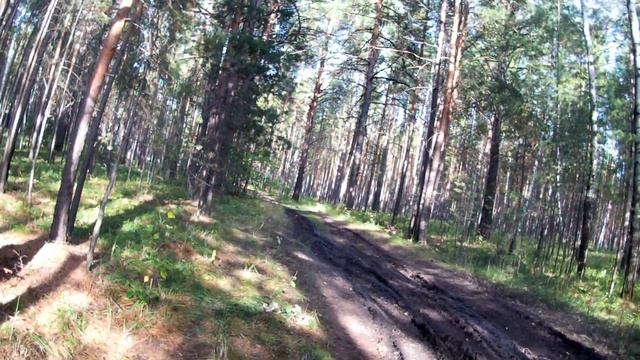 153.Окунево. Нашёл Берегиню.Кто там прячется? смотреть онлайн