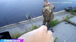 Неожиданная рыбалка! Бешеный клев толстолоба! Такого я еще не видил! best fishing