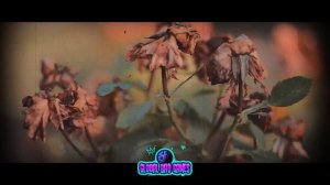 YouNotUs x Michael Schulte - Bye Bye Bye (Official  Car Video)