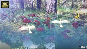 Татьяна Гейст.    ( Авторская)  Во бору брусника.   Video - UHD. 4K.   Walter Zaft.