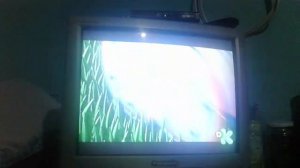 Mi perro pat en el capitulo completo de "Pat vigilante".