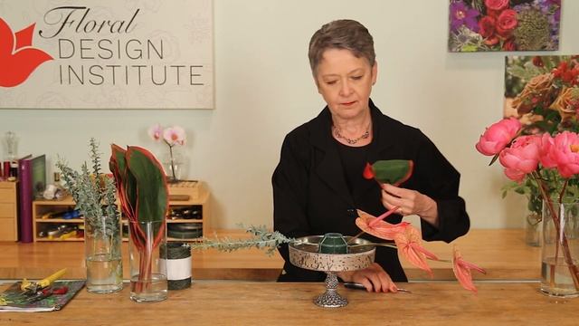 Graceful Anthurium