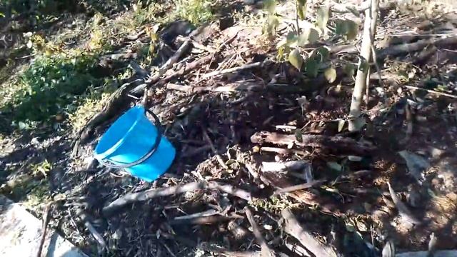 ?САДОВОДЫ НЕ ПРОПУСТИТЕ?Продолжение: Гарантии огромных урожаев и крепкого иммунитета смотреть онлайн