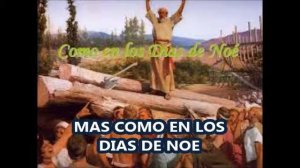 228 = MAS COMO EN LOS DIAS DE NOE = PEDRO ALCOCER R