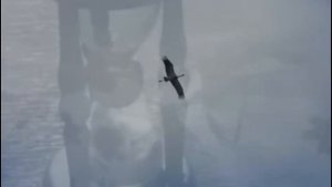 Адажио Альбинони  О  РОССИИ   исп. Светлана Твердова