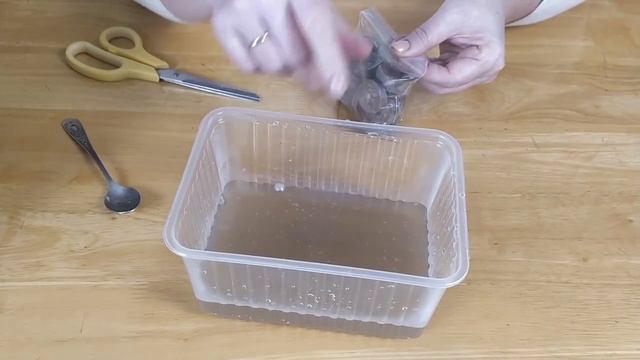 ЭУСТОМА ВЗОЙДЕТ 100% ЕСЛИ БУДЕТЕ СЛЕДОВАТЬ ИНСТРУКЦИИ