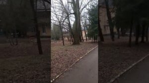 Центр Мать и дитя. Ясная поляна Тульская область.