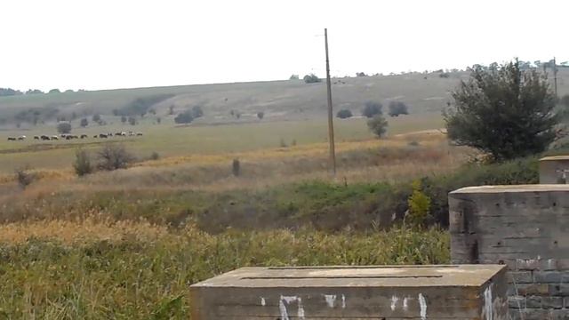 Гришино-Новомосковск-Ровно. Пилоны моста в с. Очеретоватое