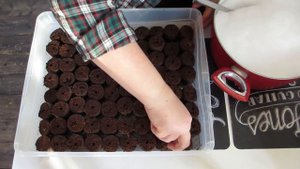 Уникальный и эффективный способ  посева земляники (клубники) в торфяные таблетки.