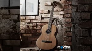 Тимур Мацураев {Соломон}