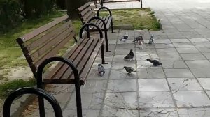 НА СЛУЖБУ К ЭВРИСФЕЮ.(глава 5)ПОДВИГИ ГЕРАКЛА.