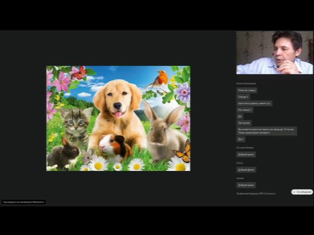 Продукты Вейра-Союз для братьев наших меньших