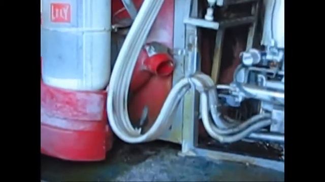 Коровы сами доятса!!!Всем смотреть!!! смотреть онлайн