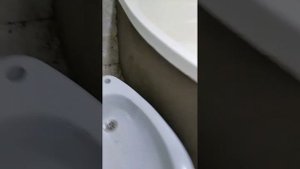 экран из мозаики под круглую ванну