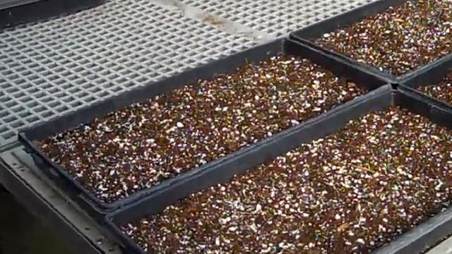 Transplanting in Ion Exchange Greenhouse смотреть онлайн