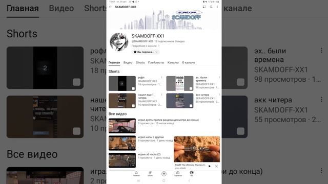 Пиар подписчика