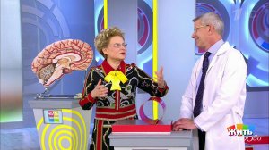 Магнитные бури: правила поведения. Жить здорово! Фрагмент выпуска от 25.10.2019