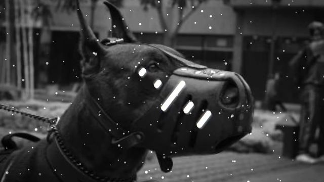 Вышел покурить - вопрос