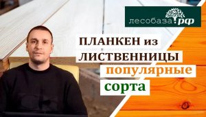 Планкен из лиственницы. Популярные сорта