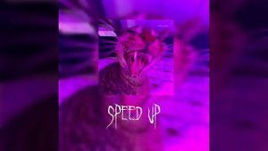 ¡треки из тт 2023¡ ||speed up||