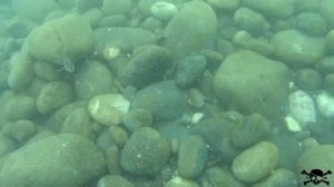 Подводный поиск в чёрном море