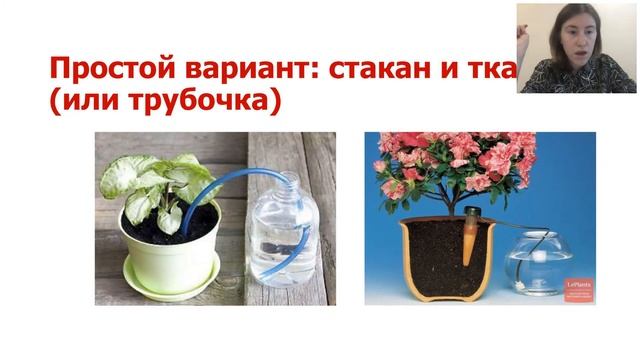 #мойдомашнийпарк