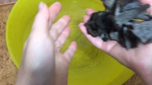 Вороночник рожковидный/Craterellus cornucopioides: как выглядит, двойники, что приготовить.