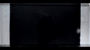 Эволюция бактерий в огромной чашке Петри