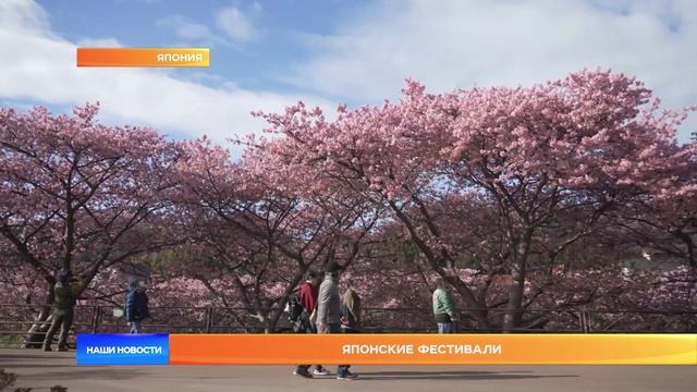 Японские фестивали