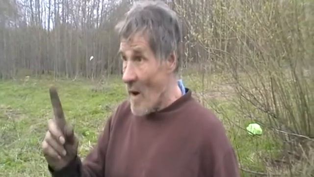 Бешеные собаки!