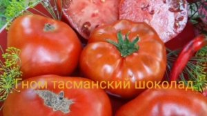 Сорта томатов для теплиц и открытого грунта (1).mp4