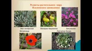 Ильменский заповедник