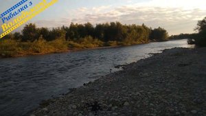 Огляд японського воблера ZipBaits Khamsin Jr 50 SR! Японський воблер Зіп Бейтс Хамсін! Воблер хамсі