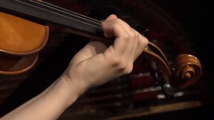 Эрнст: Последняя роза лета