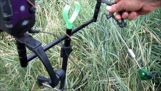 Нулевая микросессия на дикаре. смотреть онлайн