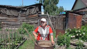 Самая лучшая подкормка для томатов для быстрого роста. Подкормка куриным пометом.