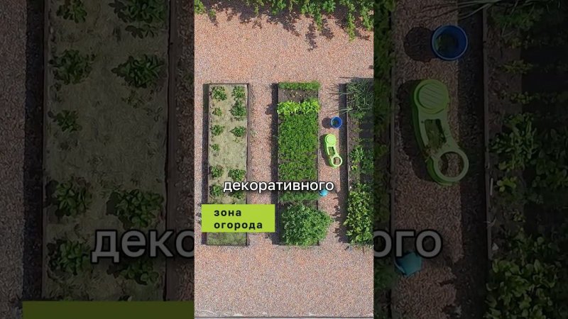 Озеленение при благоустройстве участка #ландшафтныйдизайн #благоустройство #благоустройствоучастка
