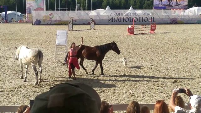 Татьяна Носова и её свободные лошади