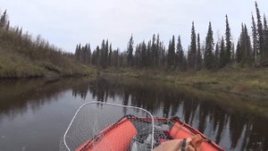 солар 450 джет сузуки водомет