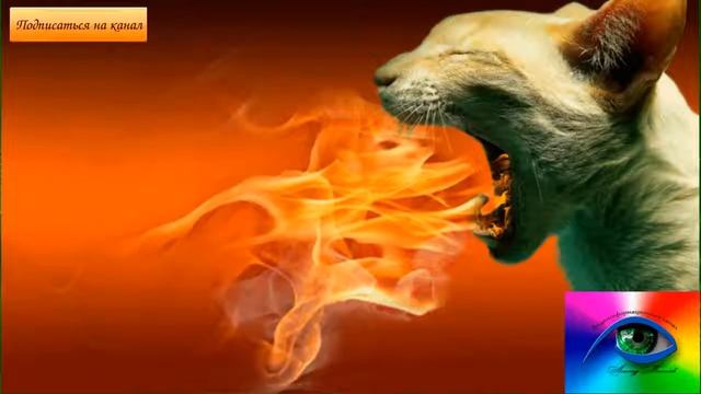 Миаз Диагностика, лечение смотреть онлайн