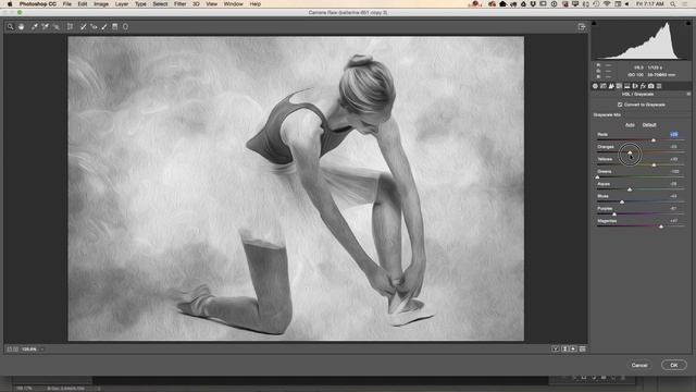The Oil Paint in Adobe Photoshop CC for Photographers смотреть онлайн