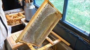 Чем я распечатываю соты? Варианты снятия забруса. Что лучше? Советы на опыте!