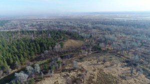 18-я орнитологическая экскурсия