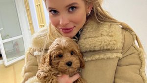 Выбираю собаку ?