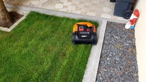 РОБОТ ГАЗОНОКОСИЛКА.WORX Landroid m700. ПЕРВЫЙ ЗАПУСК.