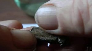 личинка стрекозы из свинца. МОРМЫШКА, БЛЕСНА?