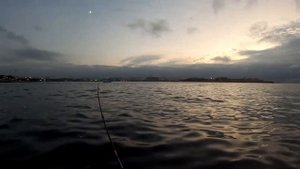 Котловая СТАВРИДА и ЛУФАРЬ на воблер - рыбалка на закате