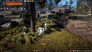 Black Desert remastered Пробужденное оружие Черной звезды №1(продолжение задания)