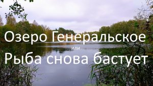 Видеоминутка. Генеральское озеро или Рыба снова бастует.