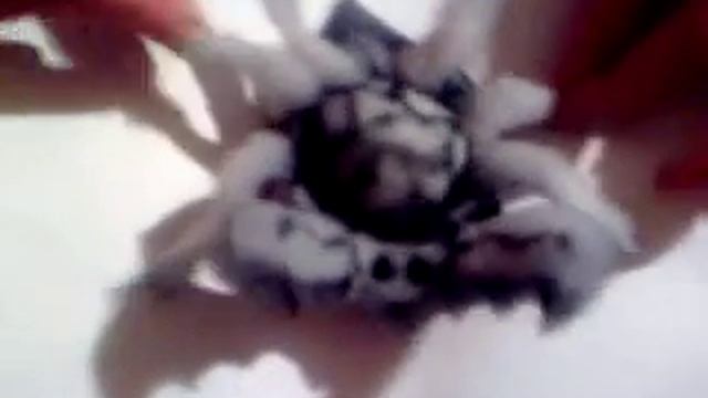 Морфер из паралона, поделка своими руками смотреть онлайн